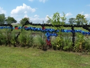 fence-1
