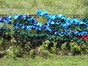 fence-4