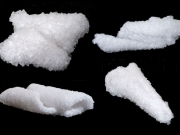 4-forms-2