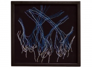 Axons-of-theOlfactory-Bulb
