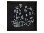 Sea-Grasses