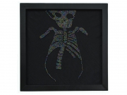 X-ray 5