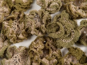 walking-in-the-stony-pathways-detail