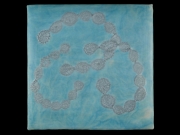 anabaena-torulosa