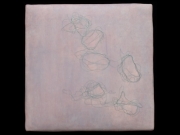 bld-cells-3