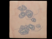blood-cells-2