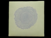 Microcystis