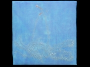 shigella #4