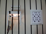 project-alex-10