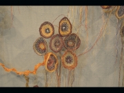 under-a-microscope-detail-4