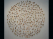 under-a-microscope